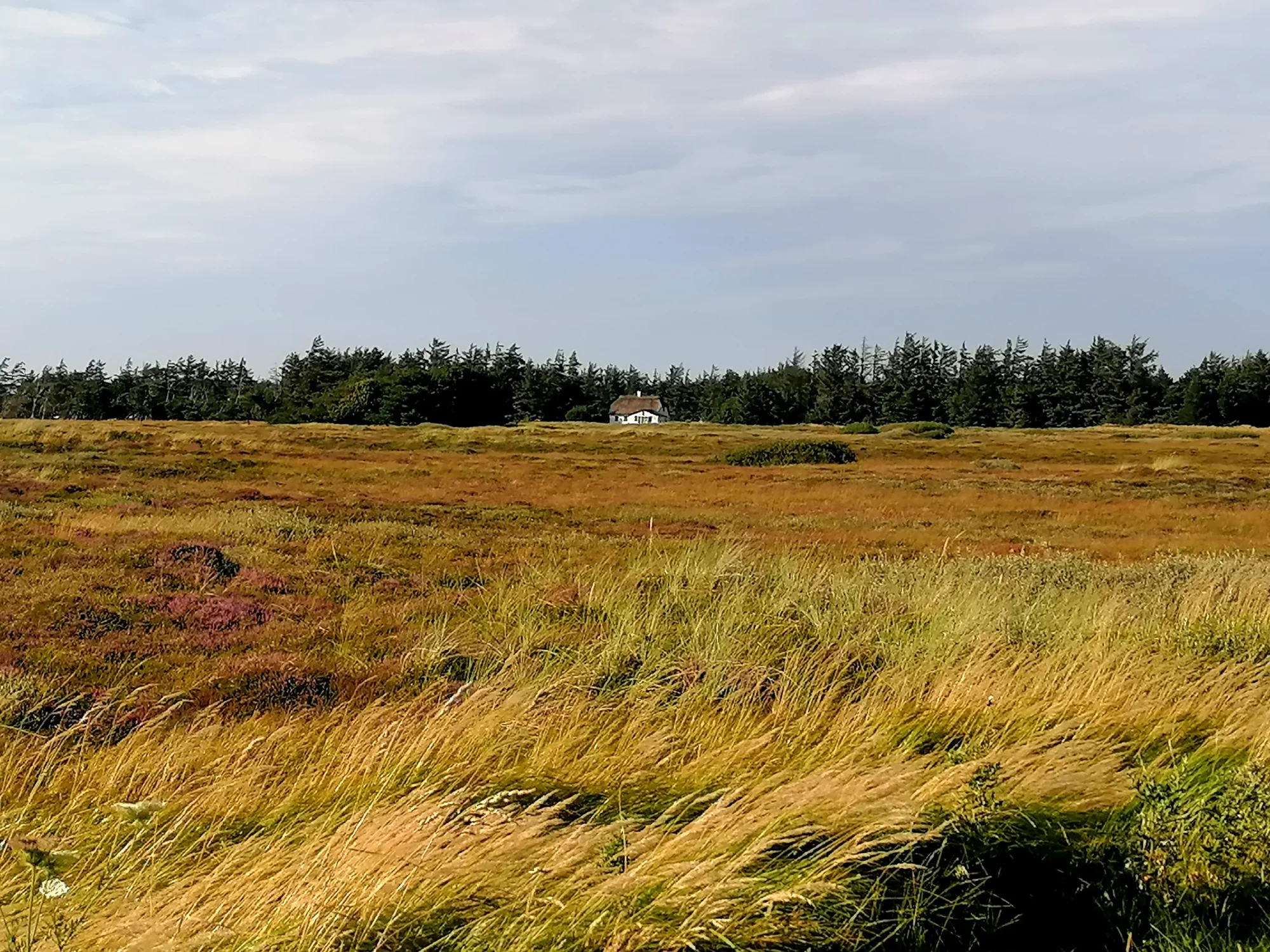 Parc naturel de Thy, Danemark